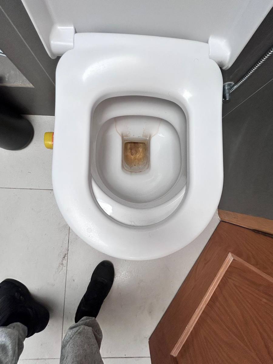 Toilet before cleaning